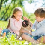 Children and Your Pets