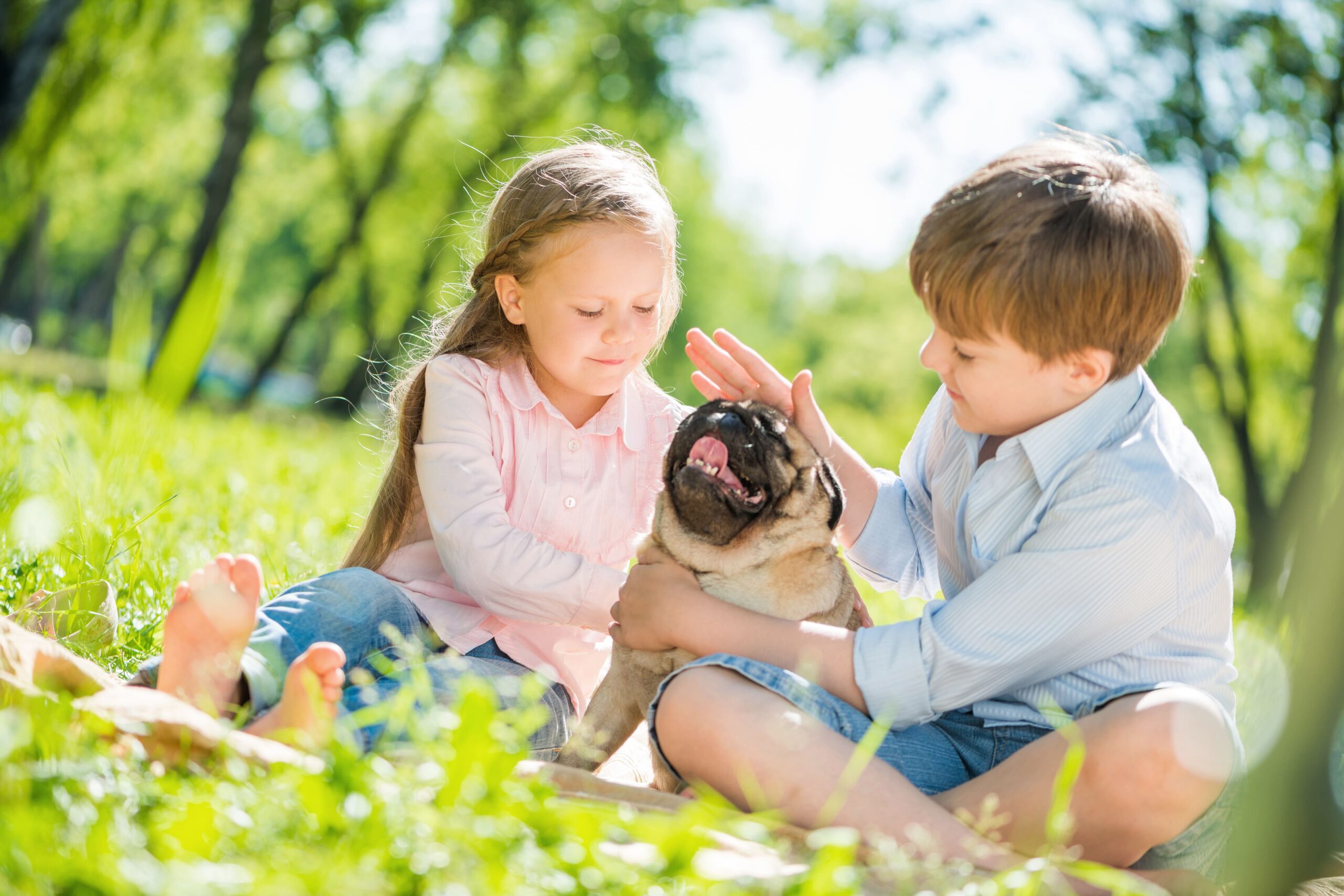 Children and Your Pets