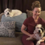 The physical exam/lab work and your pet: Part 2